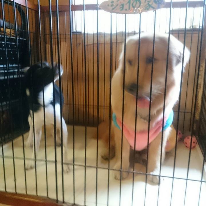 C2999a1c 4d30 4424 be41 6477c63138ab