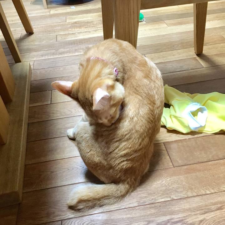 C299dd9d aa42 4123 9a1c 9c7e02af7dde