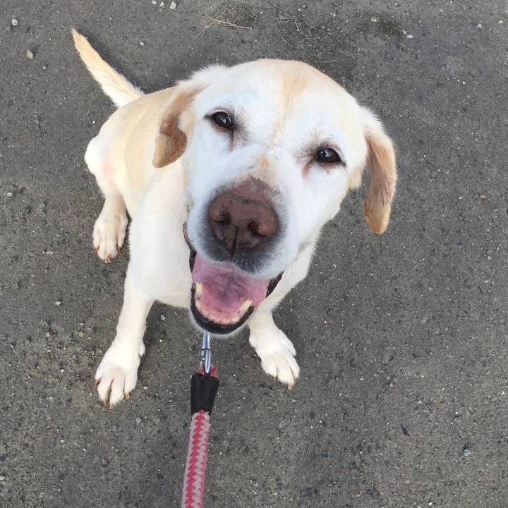 C29a65d1 8046 444d ab2c 2794e80f6dd6