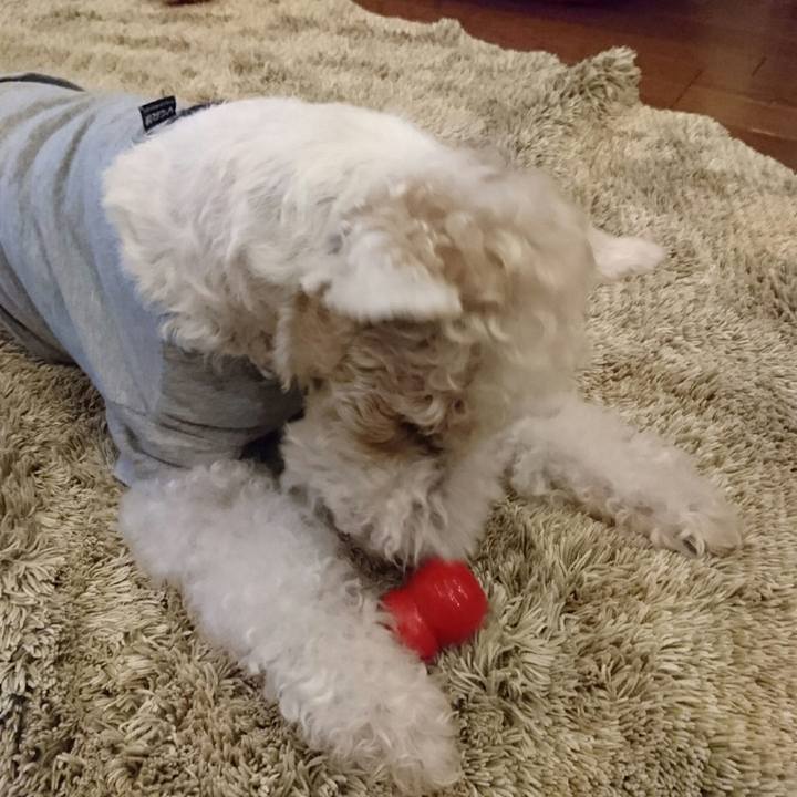 C29baceb f0f5 44ed a9ab 09b8b209e54c