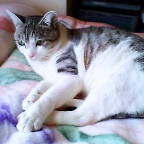 C29c79d9 9465 496b bde9 a6966d405dc1