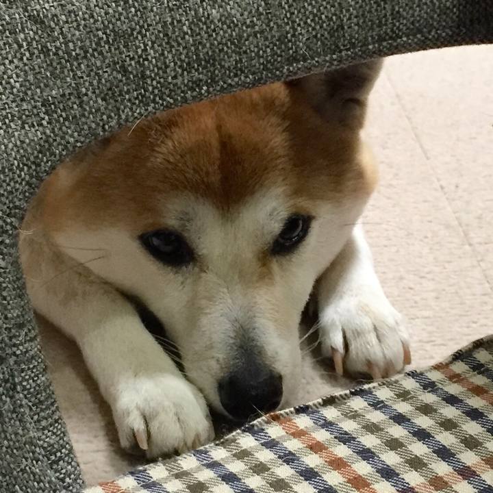 C29cb4c3 d079 405f 81d2 922902d5c6db