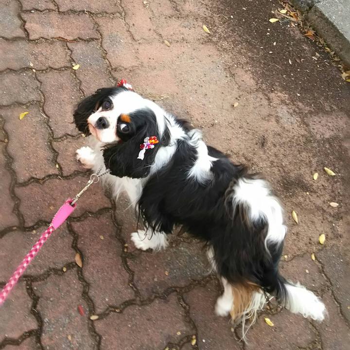 C29d2535 8952 4bab b0ac f9dee853e58b