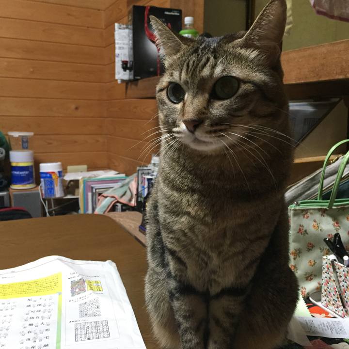 C29d6013 ebdd 40d2 8945 d327fbcc4f93