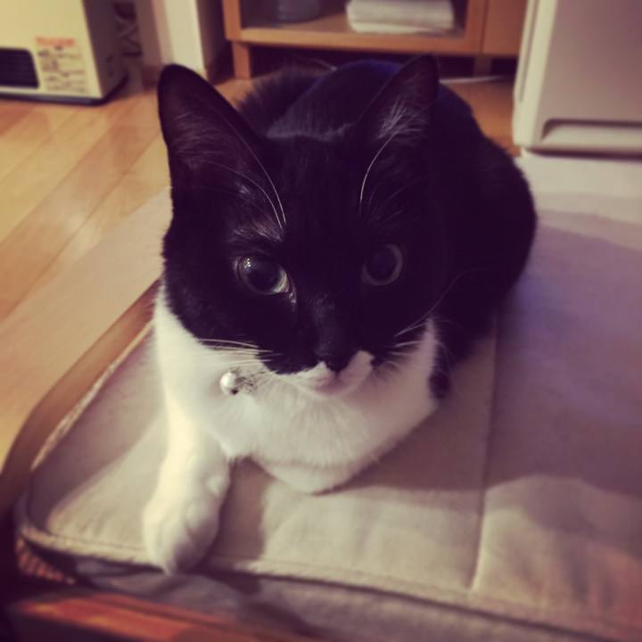 C29d8946 fa85 4efc b498 7351634f3cc6