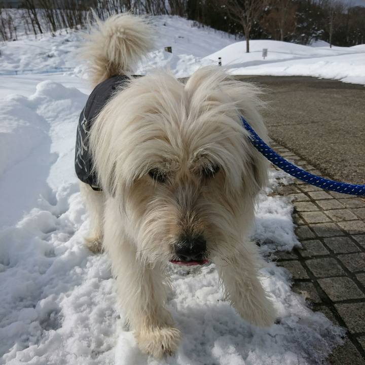 C29dc663 ea44 4bf1 adf1 101af11b8f3b