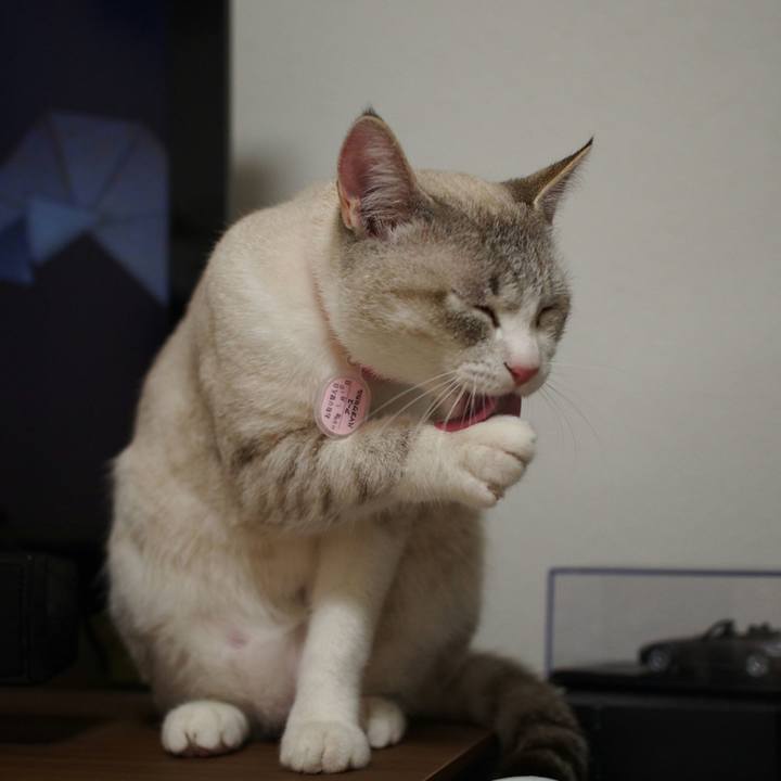 C29e15ee 8ae1 4119 b3bf 4dbee3ac1140