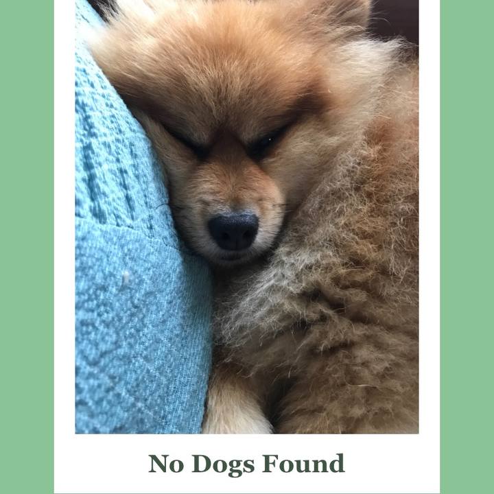 C29e502e 9b0b 498a 8675 6fa81415c682