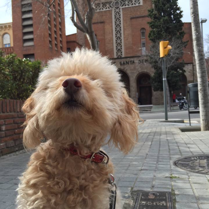 C29fa74d 46b4 49da 9143 ac47c8950fb5