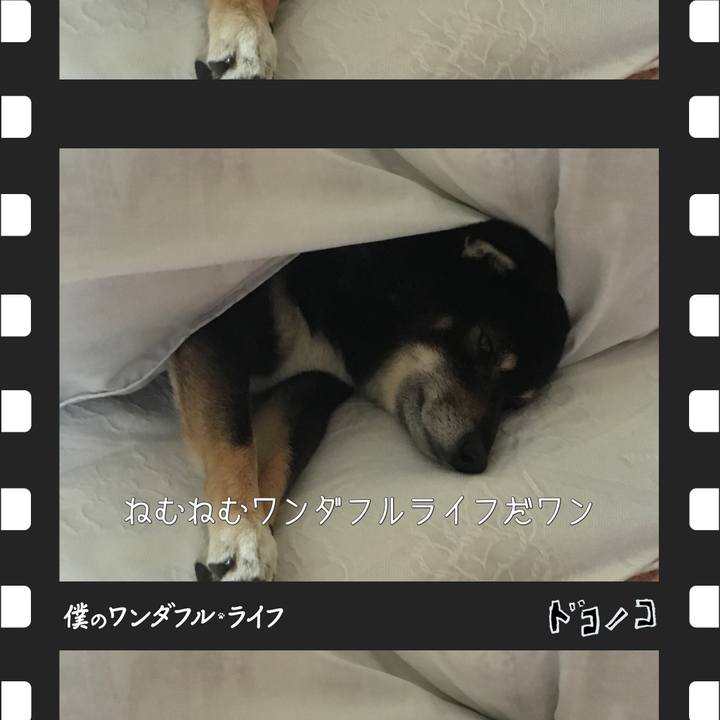 C29fab2a 2e1e 41b1 8523 c795fa22e0e6