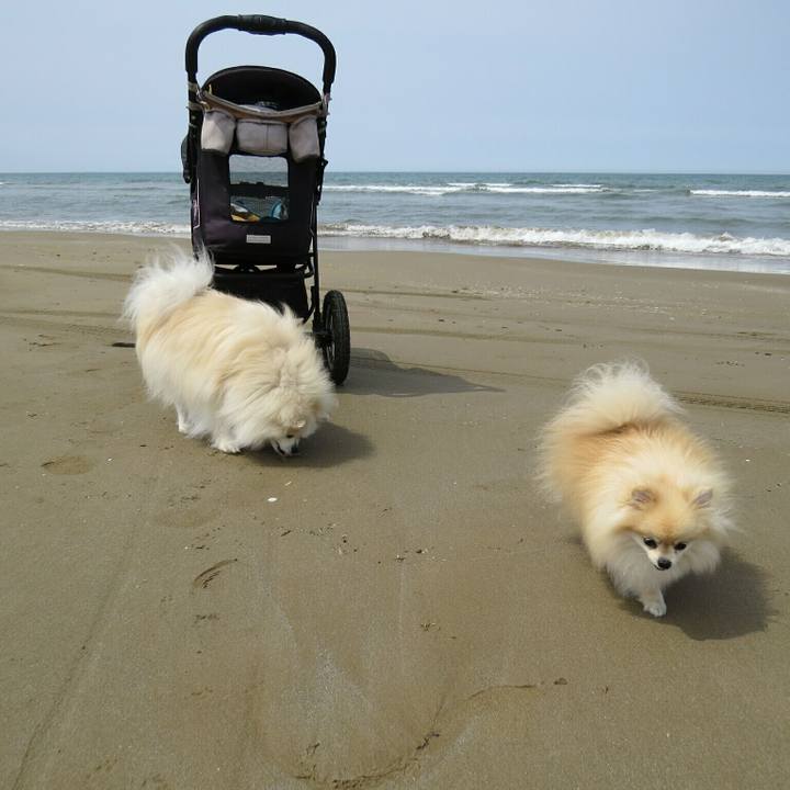 C29ff6af be7f 4aa0 8089 9b97bbc0d58e