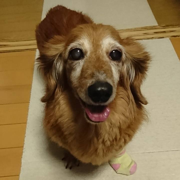 C2a05585 0f74 4280 ba2a 22959ca649d1