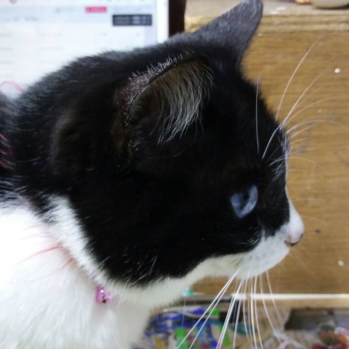 C2a065f4 c1f6 484f 8cf3 207ee4f208b1