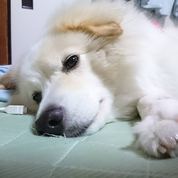 C2a0b312 0026 444b 958c 00c85afdb93f