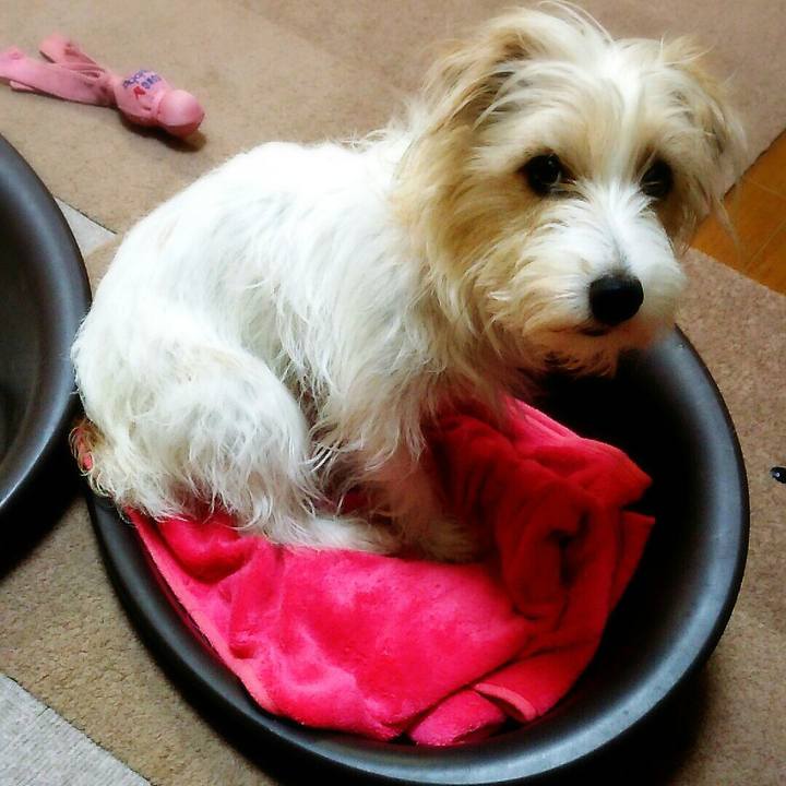 C2a15c8e 4f46 4d55 958f a3332f4b481d