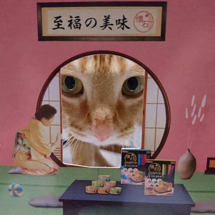 C2a172cd 6e67 40e8 a00e 44d171b46d8e