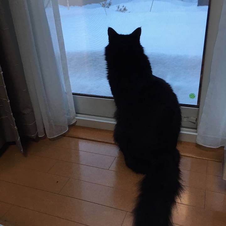 C2a1894b 0e0a 4a7e 8553 28f01cfad29e