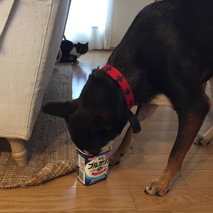 C2a23736 a2ac 479f 93bf f6c6919f2996