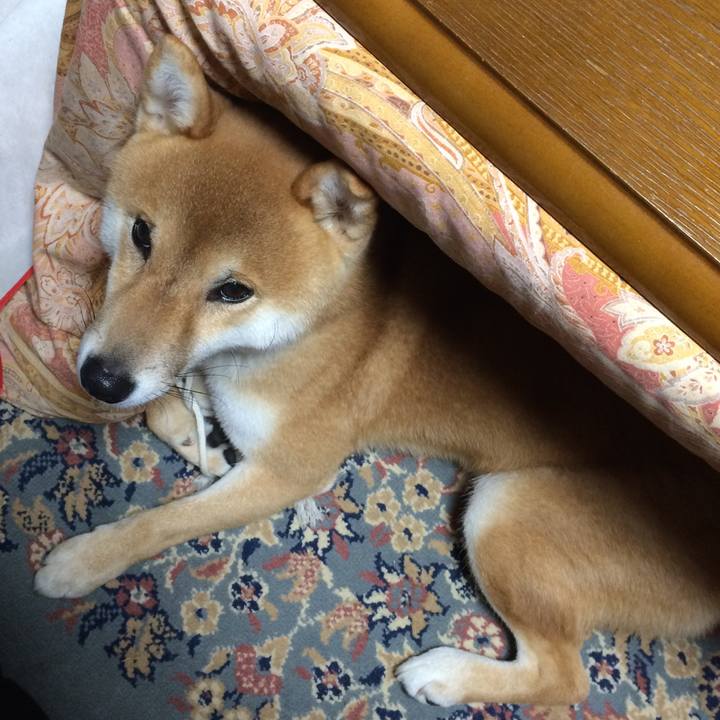 C2a24f38 c9e5 4568 8ca6 22a785d03316