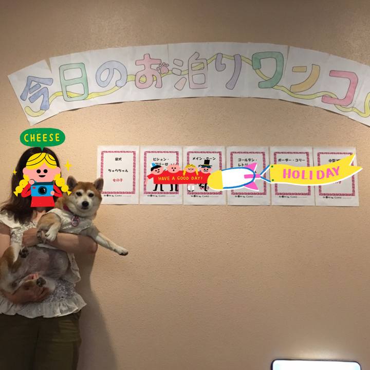 C2a2a672 c6bf 4823 9c27 ac5e13b6c834