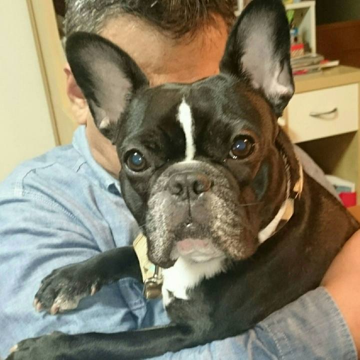 C2a2e43b 327f 44ef a1ec 9fa81ab052cf