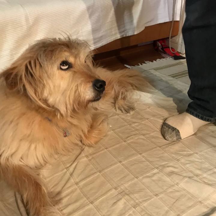 C2a35cbb 9234 4e4f b0ff 91966971e87a