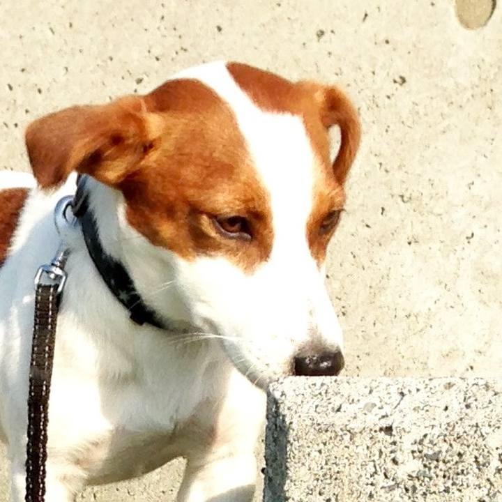 C2a393ae f532 4b52 95f4 4d03426050a3