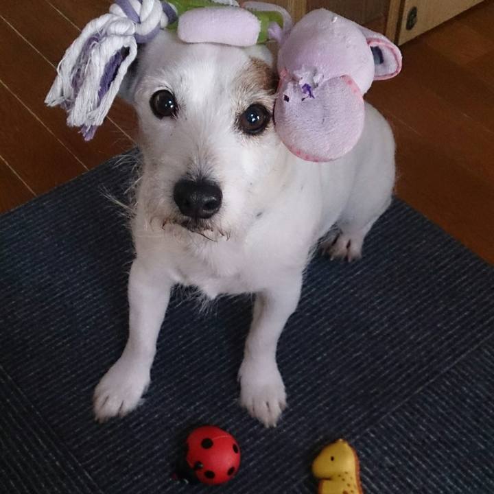 C2a3c77c a52b 4ab3 a5be 3cf2866765ad