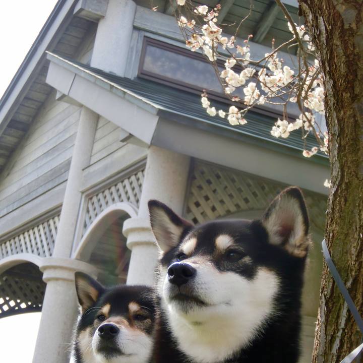 C2a5051f 3825 452a a184 f70fd926f088