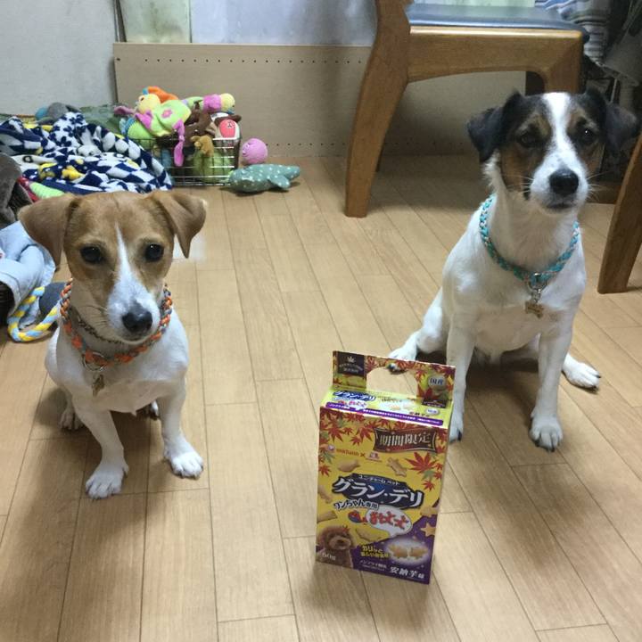 C2a53a89 ac68 416f 9ed3 a5c03bbaa0dc