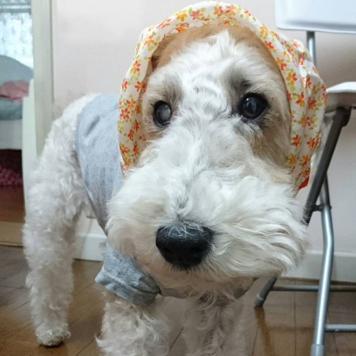 C2a56591 ef10 43d5 8931 428cccfa53c0