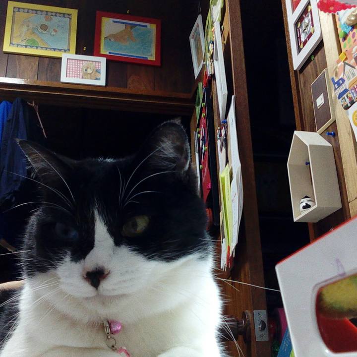 C2a58240 ba5f 4b61 9a4d d198eedc7ae6