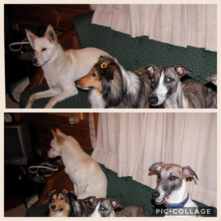 C2a58553 f47b 4d4b 8fe5 e9fa847d3d2e