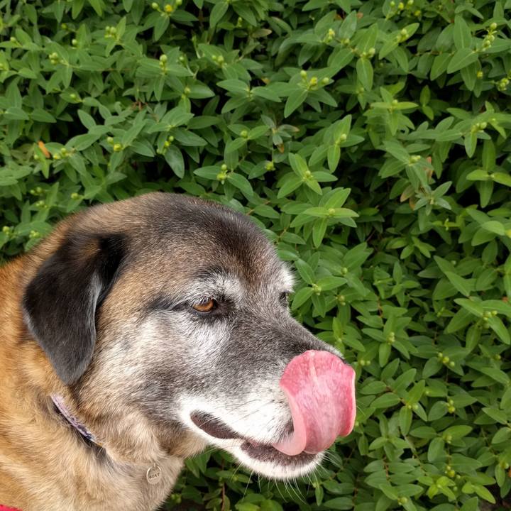 C2a5c3e2 d898 40ff b324 d02a82a2c76b