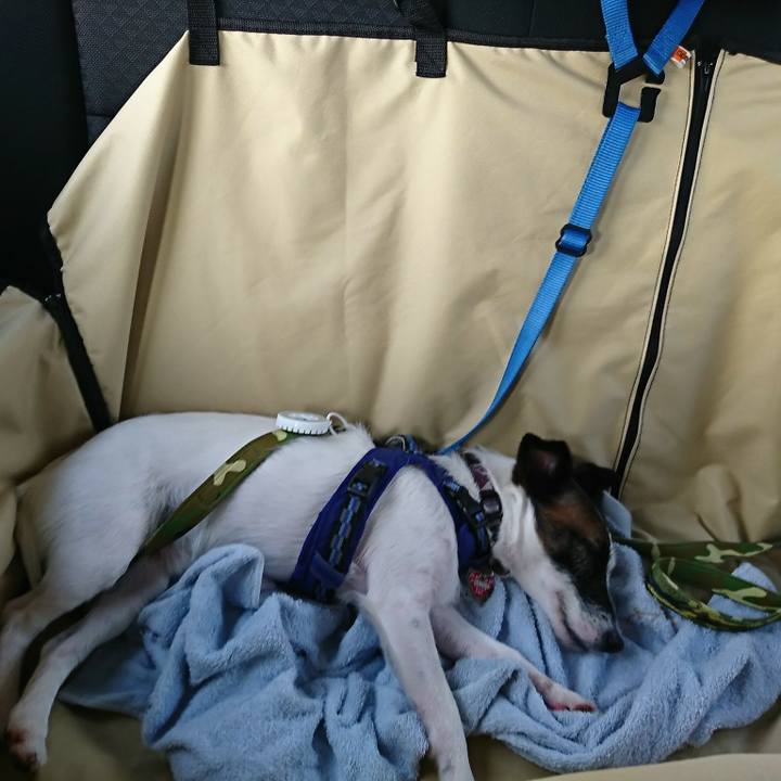 C2a5f573 e1ba 4756 afe4 00656d73a8a7