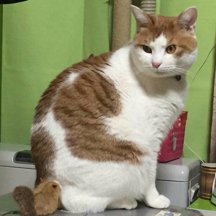 C2a60c30 fe0f 42e1 9a83 d855d8b71f89