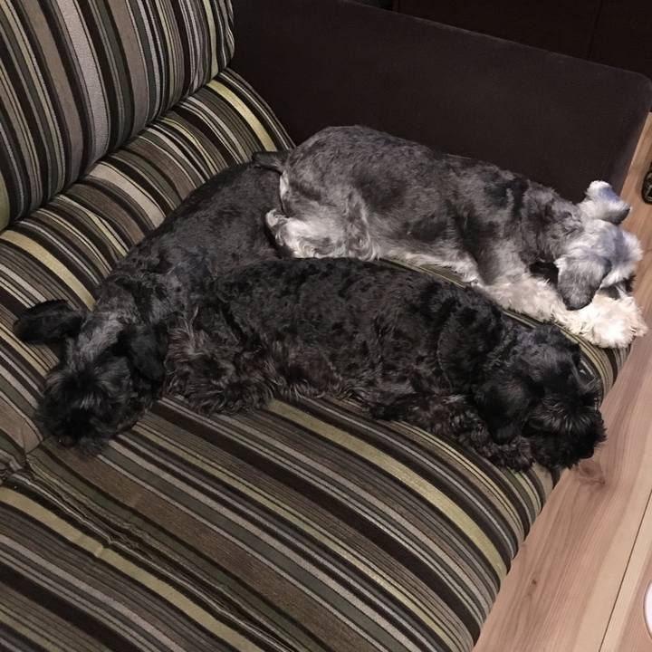 C2a63290 1921 4c3b a746 ed1ae4ddc8eb