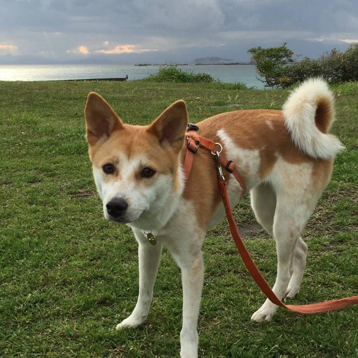 C2a6ee6b 7796 48a5 a2f5 17f8a3ff3116