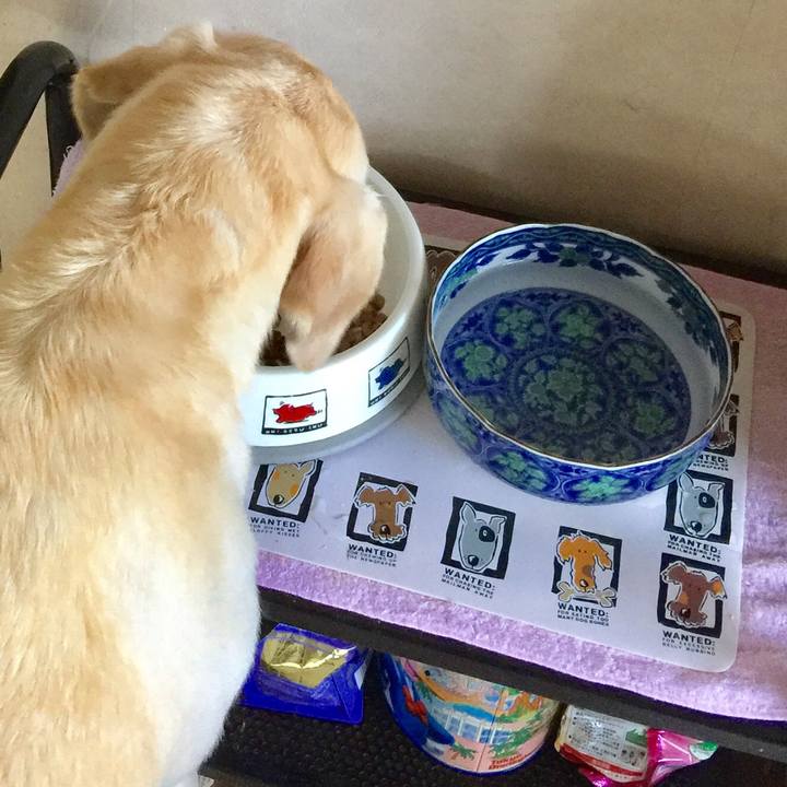 C2a718e4 c7e7 47ae 8ccb 0e1f2b5ddae0