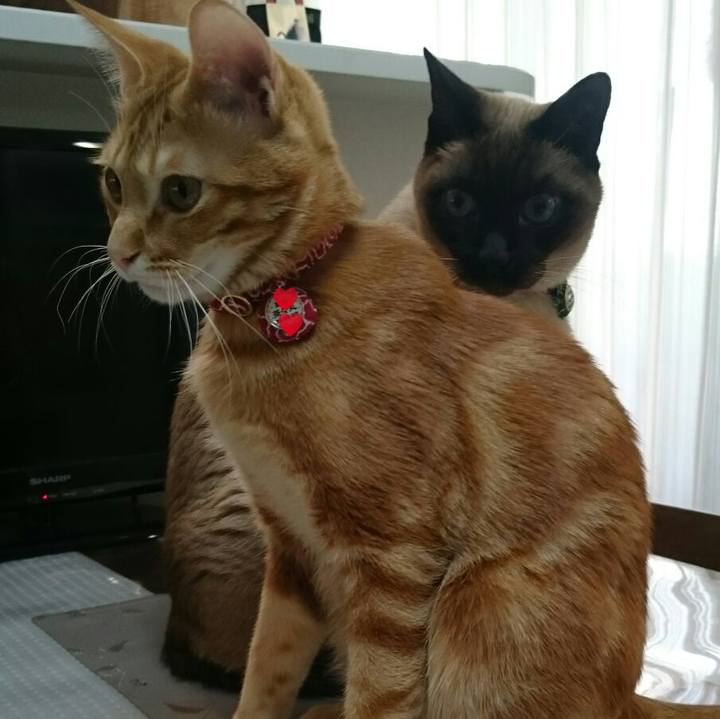 C2a7945b 3f89 46d3 a9cc 1dd8cab7473a