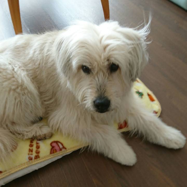 C2a7aa03 efa7 4929 bb36 b8fd3a961a06