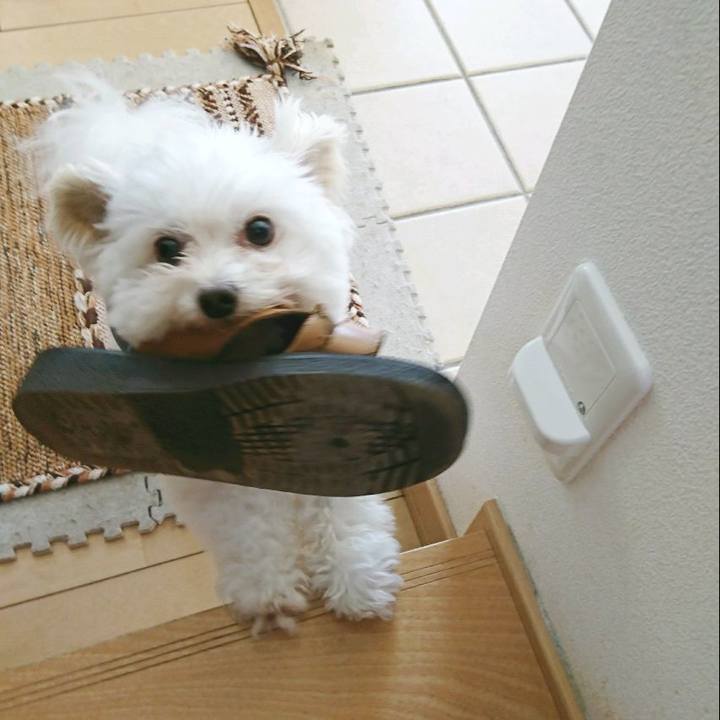 C2a7c433 99d0 4fde 82e6 2712937874da