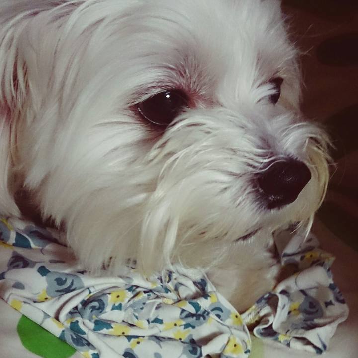 C2a81394 975f 40a5 a5be ac0baa90379f