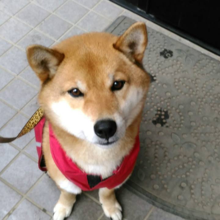 C2a87682 33cf 4920 8827 da84f771f2e3