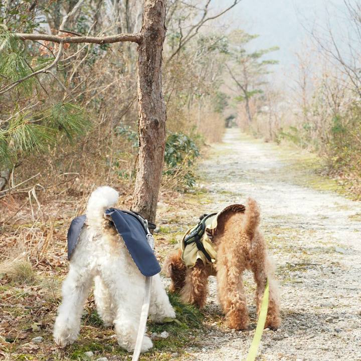 C2a88cd5 bb29 418c ae1e 0642310e210b