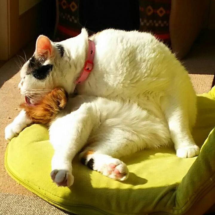 C2a89d04 ab42 49b8 994b 027c097abbcf