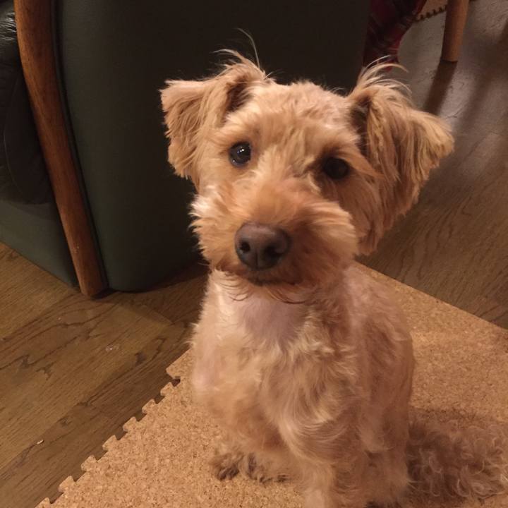 C2a93d49 e4e7 4cce 9048 6519f9f36257