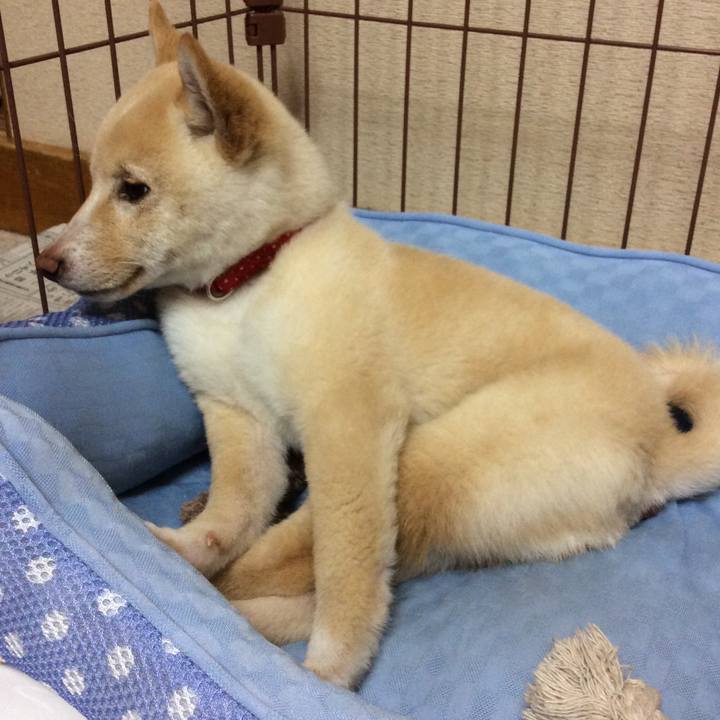 C2a9617b a8dc 4c15 aaaa 8e6415bd0cc3