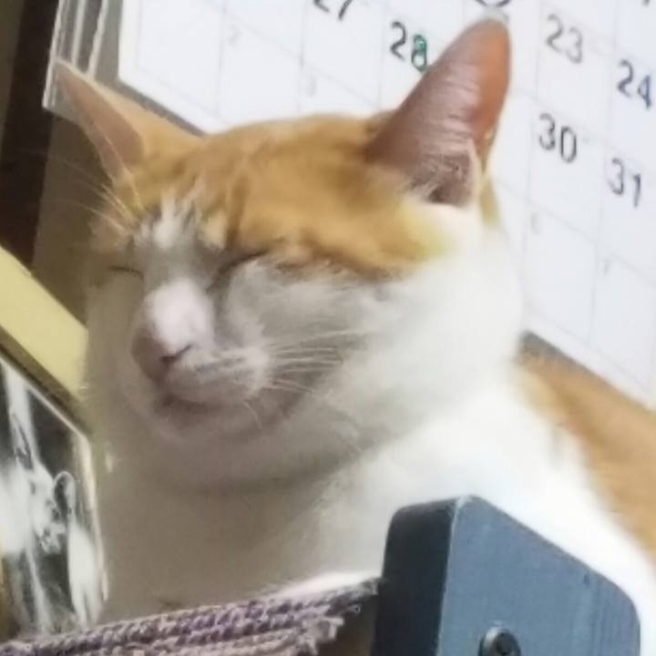 C2a9a8ef dd6f 48ac 9099 b72363604d52