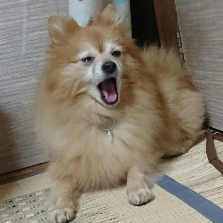 C2a9a923 1d17 497a ac54 e81c79b9e7fe